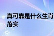 真可靠是什么生肖解一个动物生肖.全面解释落实