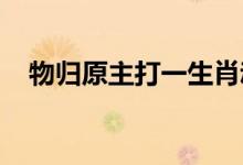 物归原主打一生肖动物精选解释解析落实