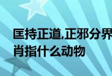 匡持正道,正邪分界,为母则强不怕捱打一个生肖指什么动物