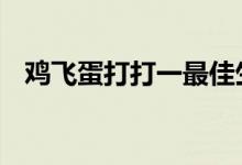 鸡飞蛋打打一最佳生肖,词语解释解析落实