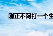 刚正不阿打一个生肖动物,资料解释落实