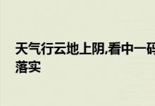 天气行云地上阴,看中一码可以牵打一个生肖动物,资料解释落实