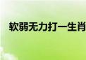 软弱无力打一生肖生肖动物.重点解释落实