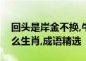 回头是岸金不换,牛头马面双双合代表是指什么生肖,成语精选