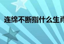 连绵不断指什么生肖打一动物经典解答落实