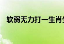 软弱无力打一生肖生肖动物.重点解释落实