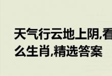 天气行云地上阴,看中一码可以牵是指代表什么生肖,精选答案