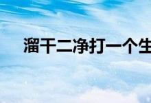 溜干二净打一个生肖数字,第一解析落实