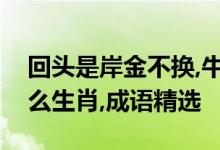 回头是岸金不换,牛头马面双双合代表是指什么生肖,成语精选