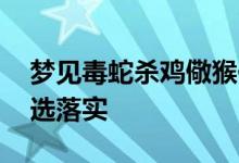 梦见毒蛇杀鸡儆猴代表是指什么生肖,词语精选落实