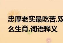 忠厚老实最吃苦,双数合单定格局指是代表什么生肖,词语释义