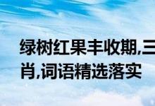 绿树红果丰收期,三门兴旺特码来是指什么生肖,词语精选落实