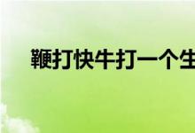 鞭打快牛打一个生肖.答案揭晓解析落实