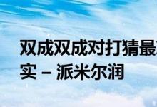 双成双成对打猜最准确生肖动物,答案曝光落实 – 派米尔润