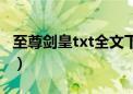 至尊剑皇txt全文下载（至尊剑皇txt全集下载）