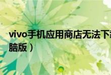 vivo手机应用商店无法下载怎么回事（vivo手机应用商店电脑版）