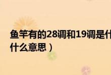 鱼竿有的28调和19调是什么意思（钓鱼竿的28调和19调是什么意思）