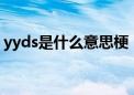 yyds是什么意思梗（我有pyy了是什么意思）