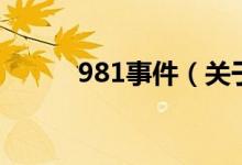 981事件（关于981事件的介绍）