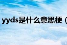 yyds是什么意思梗（我有pyy了是什么意思）