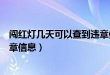 闯红灯几天可以查到违章信息上海（闯红灯几天可以查到违章信息）