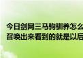 今日剑网三马驹驯养怎么完成（剑网3里我在驯养一匹麟驹，召唤出来看到的就是以后成马的样子）