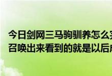 今日剑网三马驹驯养怎么完成（剑网3里我在驯养一匹麟驹，召唤出来看到的就是以后成马的样子）