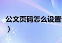 公文页码怎么设置奇偶页（公文页码怎么设置）