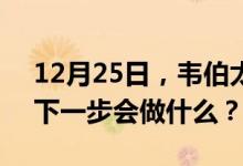 12月25日，韦伯太空望远镜顺利发射入轨，下一步会做什么？