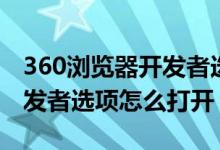 360浏览器开发者选项怎么开（360浏览器开发者选项怎么打开）