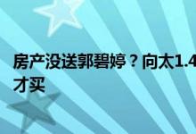 房产没送郭碧婷？向太1.4亿豪宅归公司所有，孙女出生俩月才买