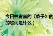 今日林宥嘉的《傻子》的歌词是什么歌（林宥嘉的《傻子》的歌词是什么）