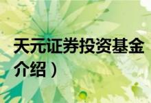 天元证券投资基金（关于天元证券投资基金的介绍）