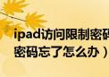 ipad访问限制密码忘了咋办（ipad访问限制密码忘了怎么办）