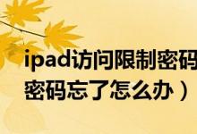 ipad访问限制密码忘了咋办（ipad访问限制密码忘了怎么办）