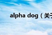 alpha dog（关于alpha dog的介绍）