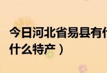 今日河北省易县有什么好吃的（河北省易县有什么特产）