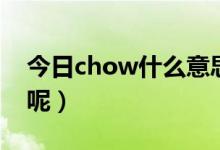 今日chow什么意思（单词chow是什么意思呢）