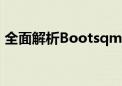 全面解析Bootsqm：概念、应用与优化策略