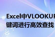 Excel中VLOOKUP函数的使用技巧：锁定关键词进行高效查找