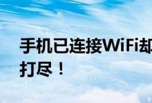 手机已连接WiFi却无法上网？解决策略一网打尽！