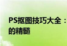 PS抠图技巧大全：轻松掌握图像合成与编辑的精髓