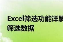 Excel筛选功能详解：如何锁定关键词并高效筛选数据