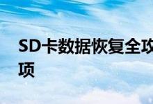 SD卡数据恢复全攻略：步骤、方法及注意事项