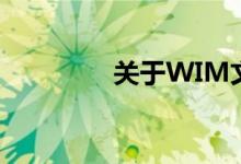 关于WIM文件的深度解析