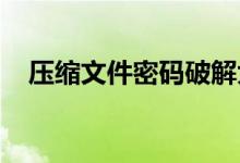 压缩文件密码破解大师背后的风险与警示