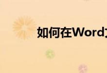 如何在Word文档中延长下划线