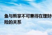 鱼与熊掌不可兼得在理财中的权衡艺术：如何把握收益与风险的关系