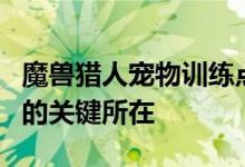 魔兽猎人宠物训练点数全解析：提升宠物能力的关键所在