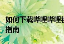 如何下载哔哩哔哩视频助手：详细步骤与操作指南